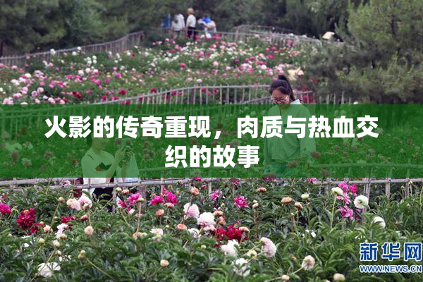 火影的传奇重现，肉质与热血交织的故事
