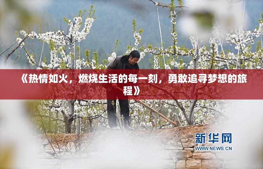 《热情如火，燃烧生活的每一刻，勇敢追寻梦想的旅程》