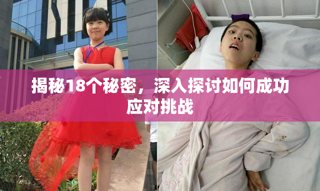 揭秘18个秘密，深入探讨如何成功应对挑战