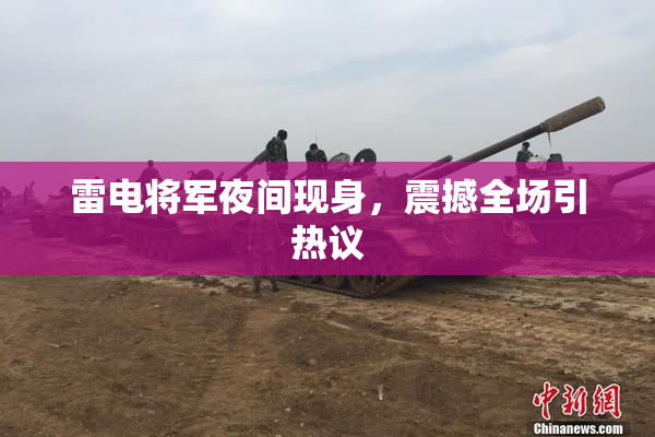雷电将军夜间现身，震撼全场引热议