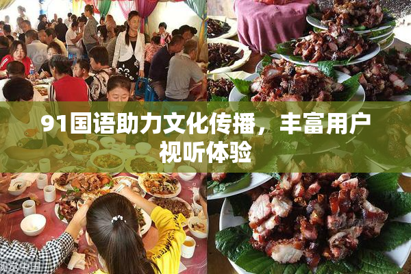 91国语助力文化传播，丰富用户视听体验