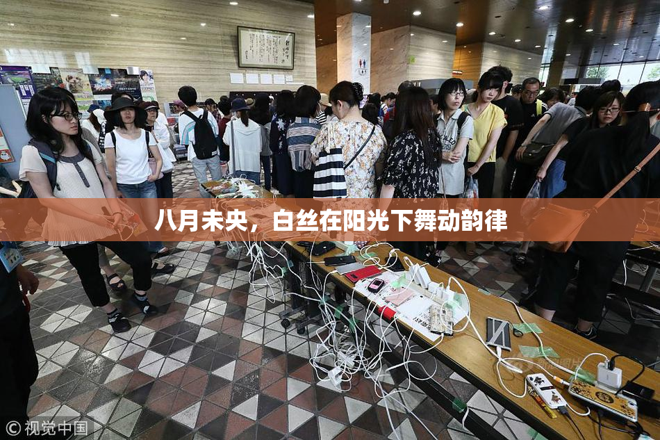 八月未央，白丝在阳光下舞动韵律