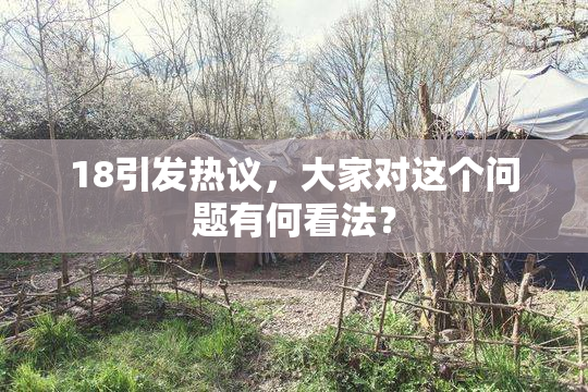 18引发热议，大家对这个问题有何看法？