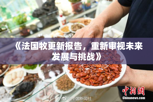 《法国牧更新报告，重新审视未来发展与挑战》