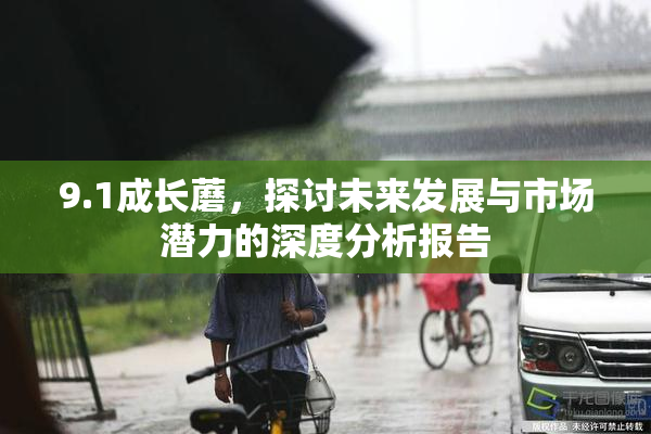 9.1成长蘑，探讨未来发展与市场潜力的深度分析报告