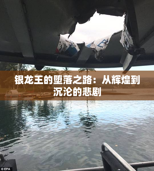 银龙王的堕落之路：从辉煌到沉沦的悲剧