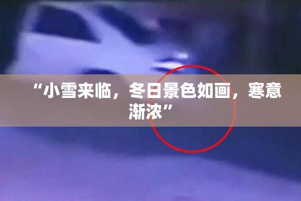 “小雪来临，冬日景色如画，寒意渐浓”