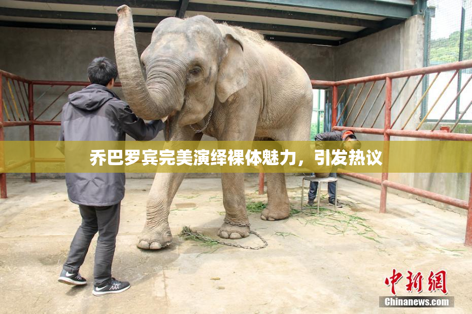 乔巴罗宾完美演绎裸体魅力，引发热议