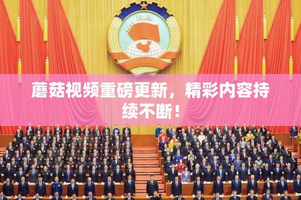蘑菇视频重磅更新，精彩内容持续不断！