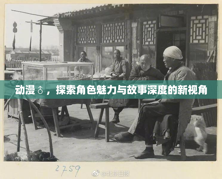 动漫♂，探索角色魅力与故事深度的新视角