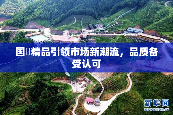 国產精品引领市场新潮流，品质备受认可