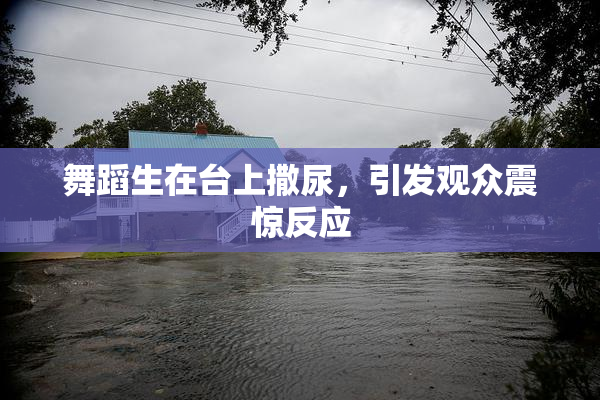 舞蹈生在台上撒尿，引发观众震惊反应