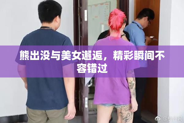 熊出没与美女邂逅，精彩瞬间不容错过