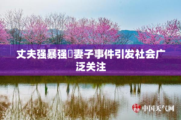 丈夫强暴强姦妻子事件引发社会广泛关注