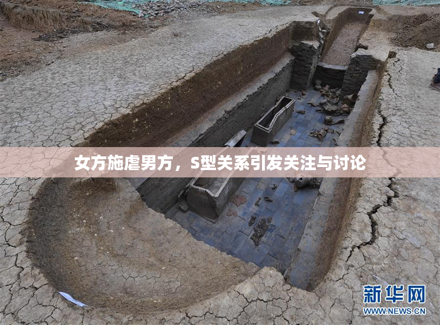 女方施虐男方，S型关系引发关注与讨论