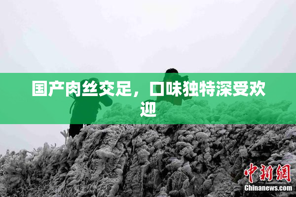 国产肉丝交足，口味独特深受欢迎