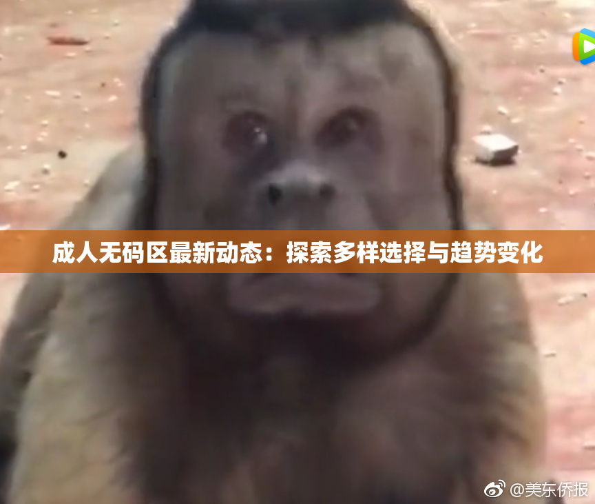 成人无码区最新动态：探索多样选择与趋势变化
