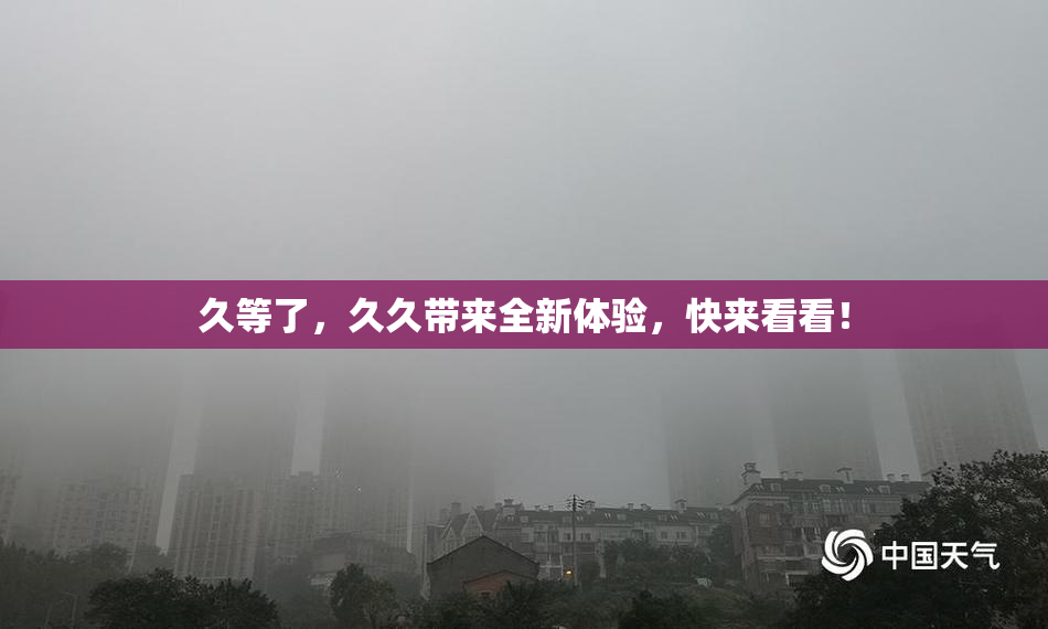 久等了，久久带来全新体验，快来看看！
