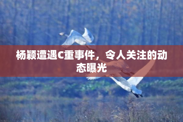 杨颖遭遇C重事件，令人关注的动态曝光