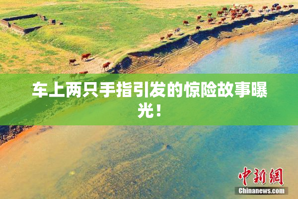车上两只手指引发的惊险故事曝光！