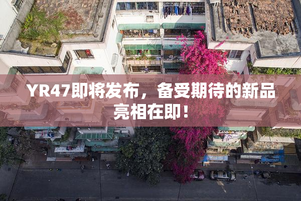 YR47即将发布，备受期待的新品亮相在即！