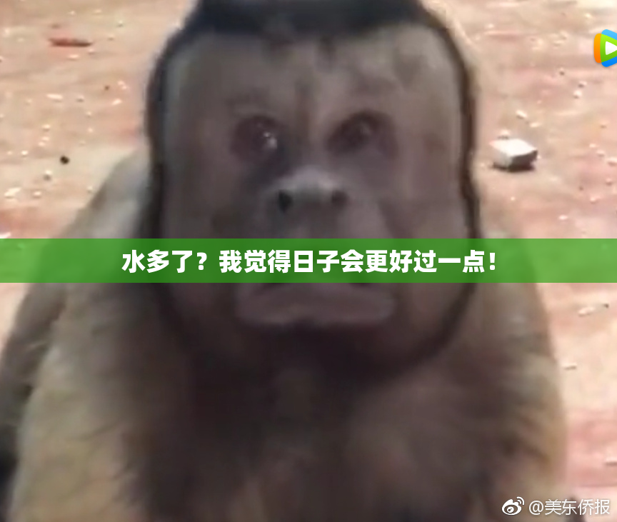 水多了？我觉得日子会更好过一点！