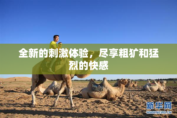 全新的刺激体验，尽享粗犷和猛烈的快感
