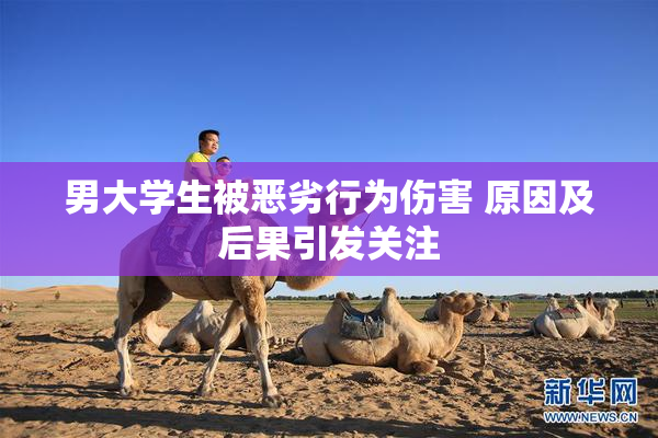 男大学生被恶劣行为伤害 原因及后果引发关注