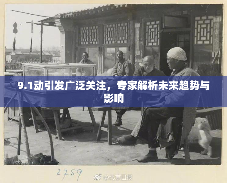 9.1动引发广泛关注，专家解析未来趋势与影响