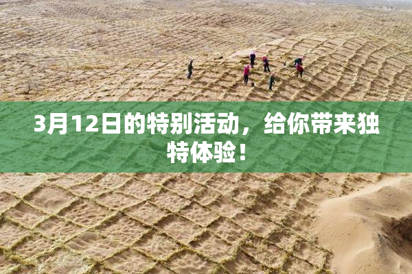 3月12日的特别活动，给你带来独特体验！