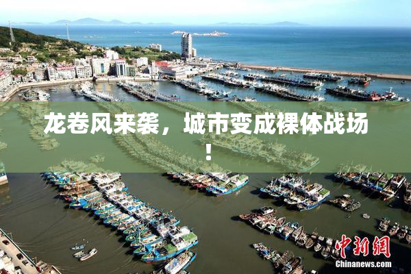龙卷风来袭，城市变成裸体战场！