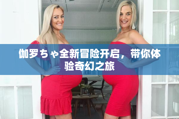 伽罗ちゃ全新冒险开启，带你体验奇幻之旅