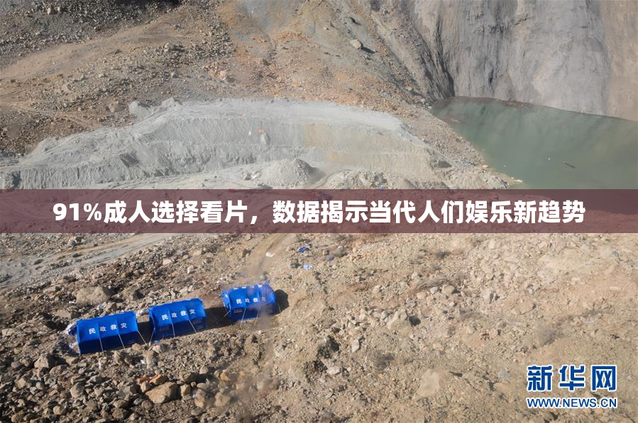 91%成人选择看片，数据揭示当代人们娱乐新趋势