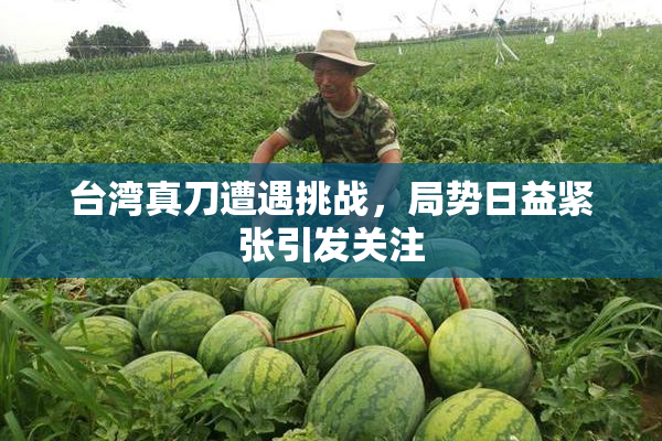 台湾真刀遭遇挑战，局势日益紧张引发关注