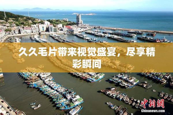 久久毛片带来视觉盛宴，尽享精彩瞬间
