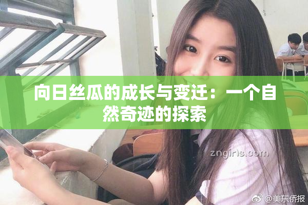 向日丝瓜的成长与变迁：一个自然奇迹的探索