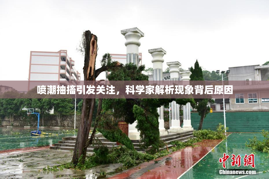 喷潮抽搐引发关注，科学家解析现象背后原因