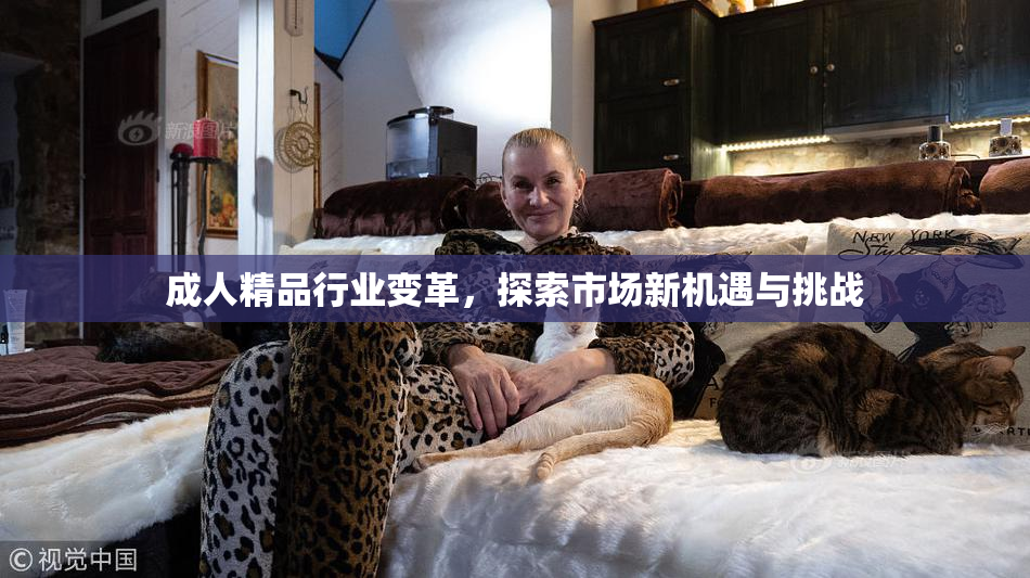 成人精品行业变革，探索市场新机遇与挑战