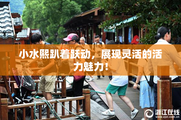 小水熙趴着跃动，展现灵活的活力魅力！