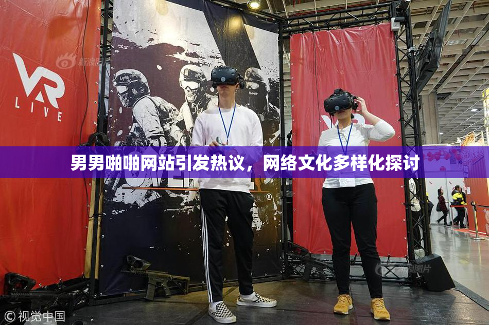 男男啪啪网站引发热议，网络文化多样化探讨
