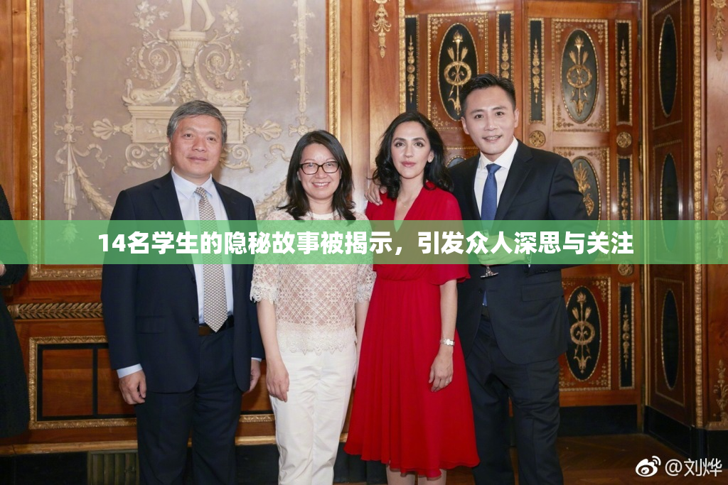 14名学生的隐秘故事被揭示，引发众人深思与关注