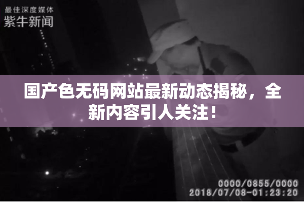 国产色无码网站最新动态揭秘，全新内容引人关注！