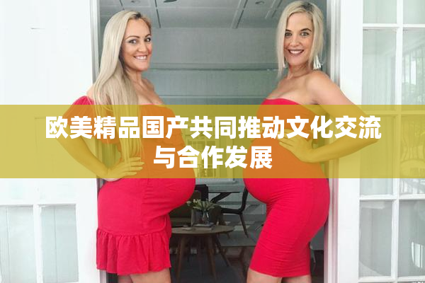 欧美精品国产共同推动文化交流与合作发展