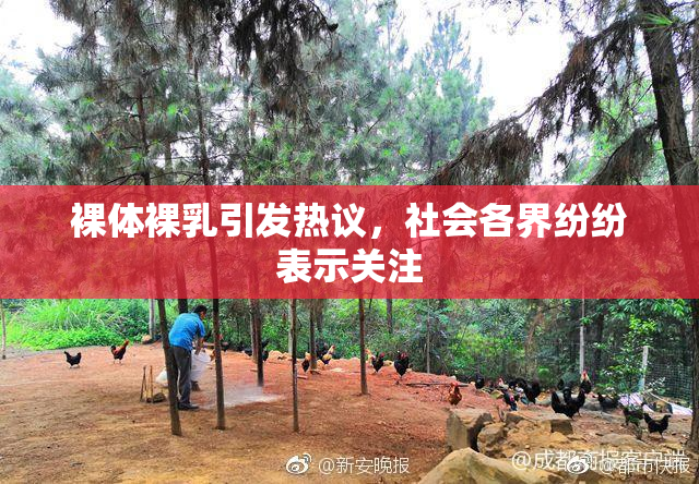 裸体裸乳引发热议，社会各界纷纷表示关注