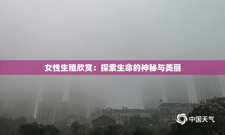 女性生殖欣赏：探索生命的神秘与美丽