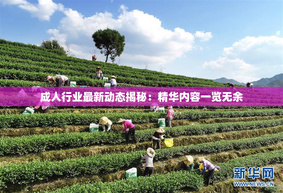 成人行业最新动态揭秘：精华内容一览无余