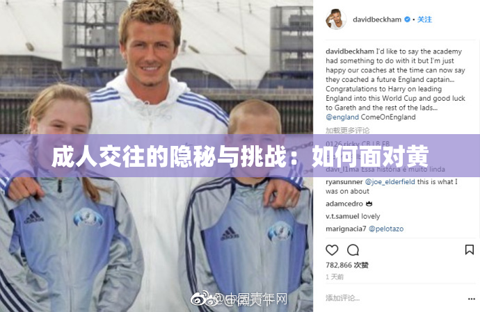 成人交往的隐秘与挑战：如何面对黄