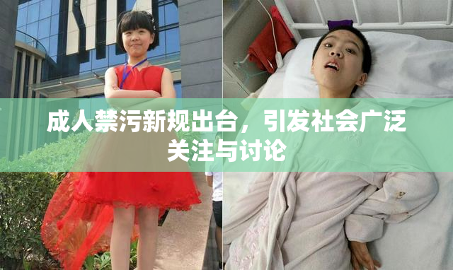 成人禁污新规出台，引发社会广泛关注与讨论