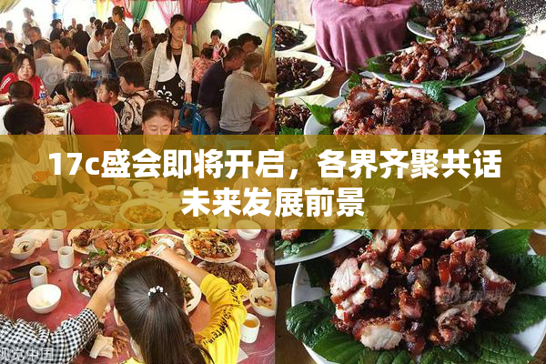 17c盛会即将开启，各界齐聚共话未来发展前景