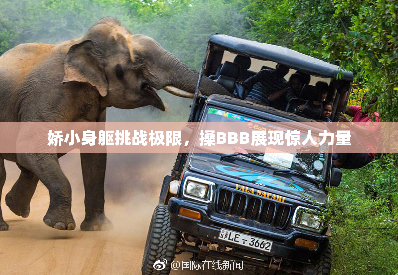 娇小身躯挑战极限，搡BBB展现惊人力量